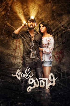 Anthaku Minchi (2018) Hindi Dubbed 720p HDRip [1GB]