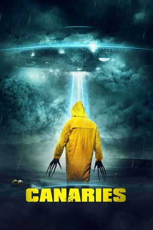 Canaries (2017) Hindi Dual Audio 480p WebRip 300MB