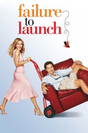 Failure to Launch 2006 Hindi Dual Audio 720p BluRay [850MB]