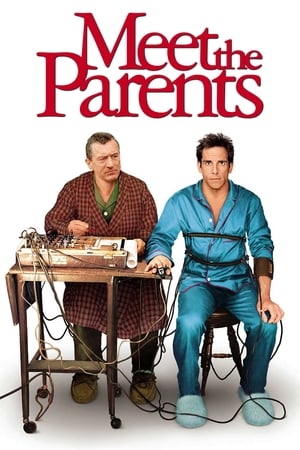 Meet the Parents 2000 Hindi Dual Audio 720p BluRay [930MB]