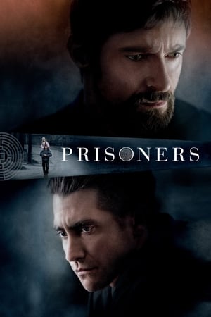 Prisoners 2013 Hindi Dual Audio 480p BluRay 400MB ESubs