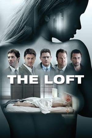 The Loft 2014 Hindi Dubbed 480p HDRip 340MB