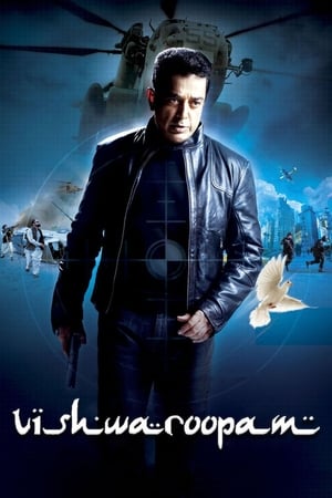 Vishwaroopam (2013) Hindi Dubbed 480p HDTVRip 400MB